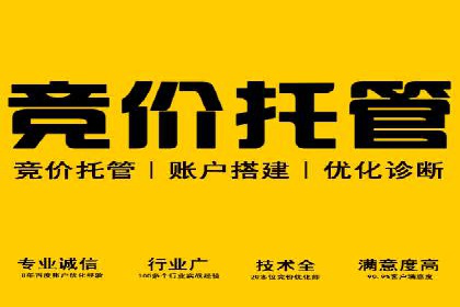 关键词竞价排名的优化技巧与成功案例分享